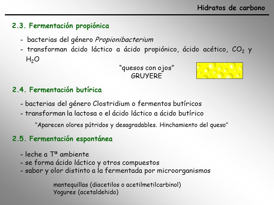 Fermentacion bacteriana de la lactosa